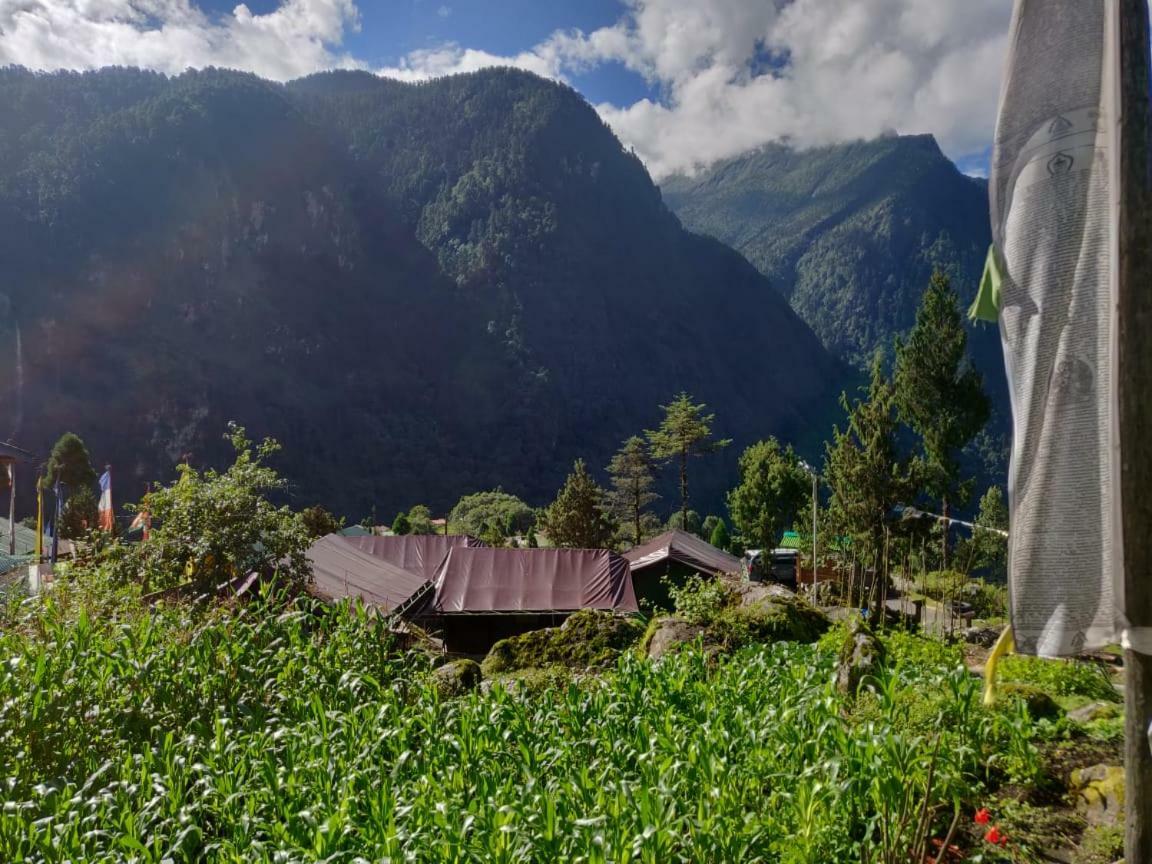 Ourguest Camp 3* Lachung
