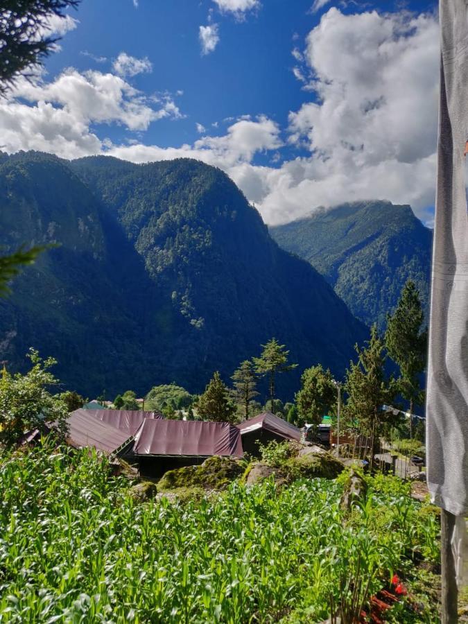 Ourguest Camp 3* Lachung